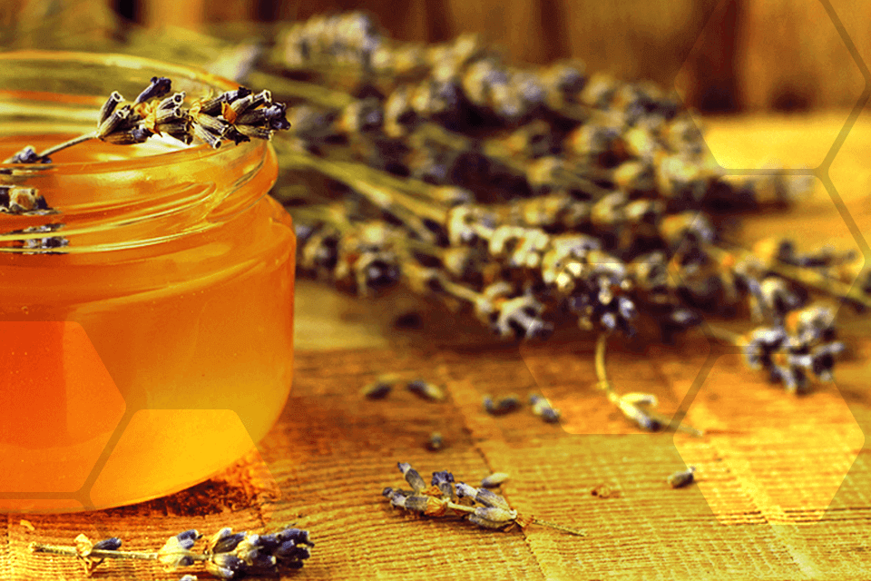 alimentation a chaque miel bio ses bienfaits