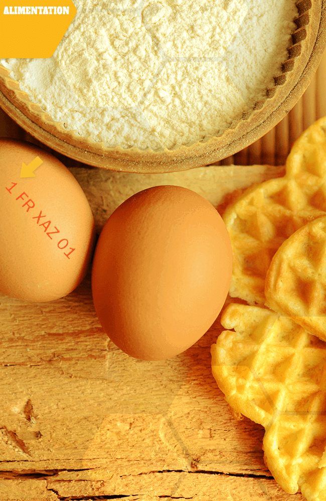 alimentation comment choisir ses œufs