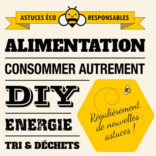 beelit diy bloc wc maison