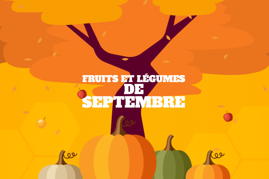 alimentation fruits et légumes de septembre