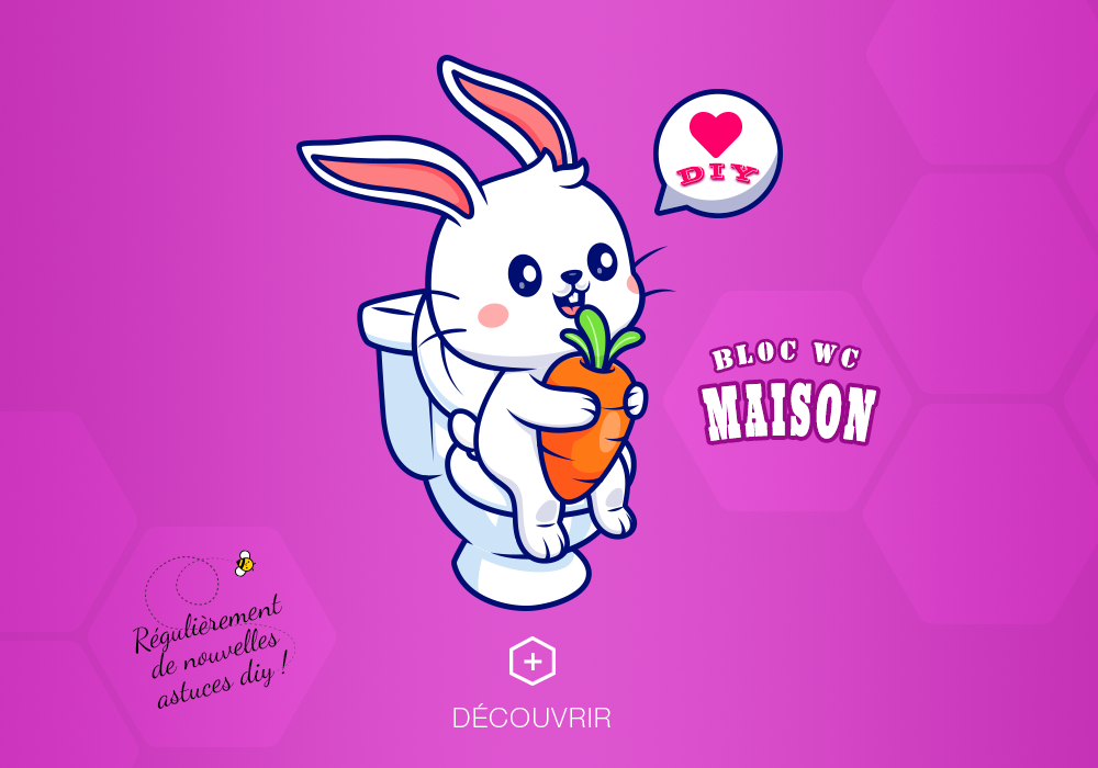 diy bloc wc maison beelity astuces éco responsables